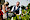 Maastricht Heuvelland Culinair