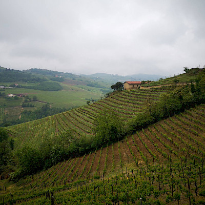 Piemonte