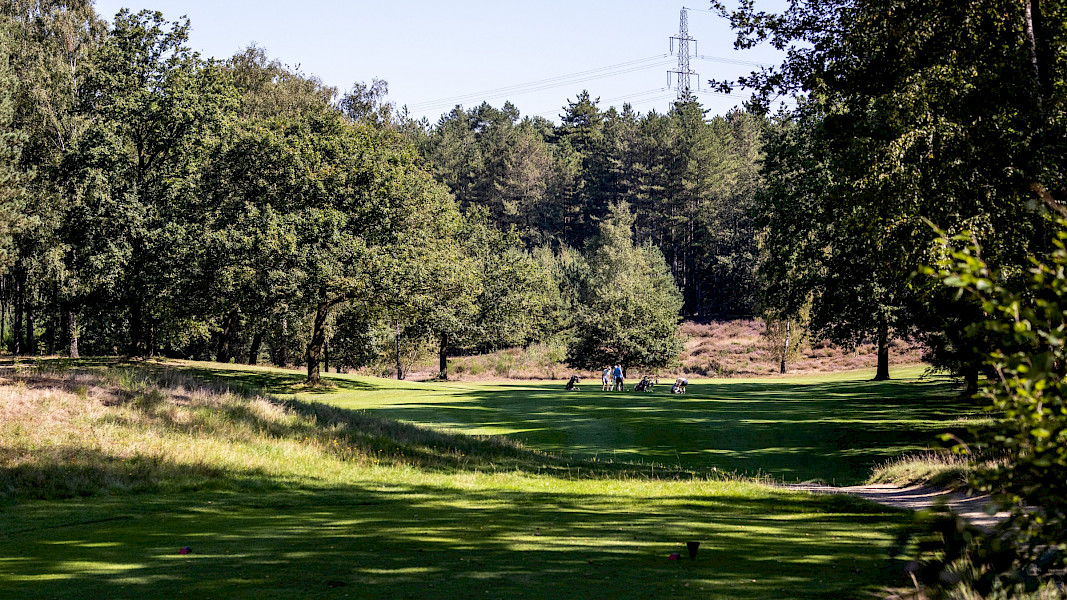 Geslaagde 6e editie van het Alzheimer Golftoernooi