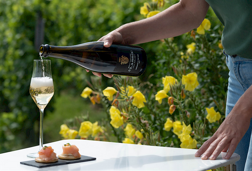 Proef de Passie van de Limburgse Wijngaarden