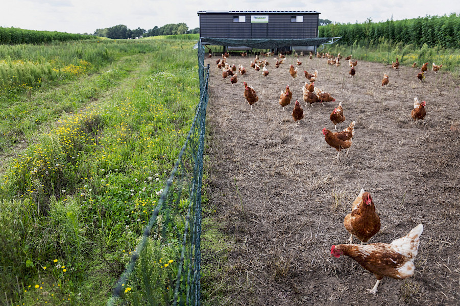 Mark Venner enthousiast ambassadeur van boerderij van de toekomst