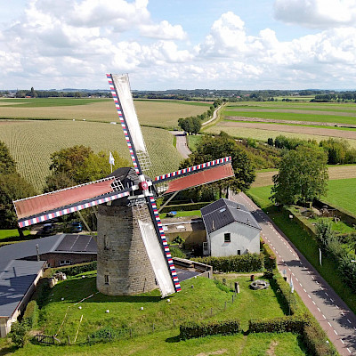Hamsteren