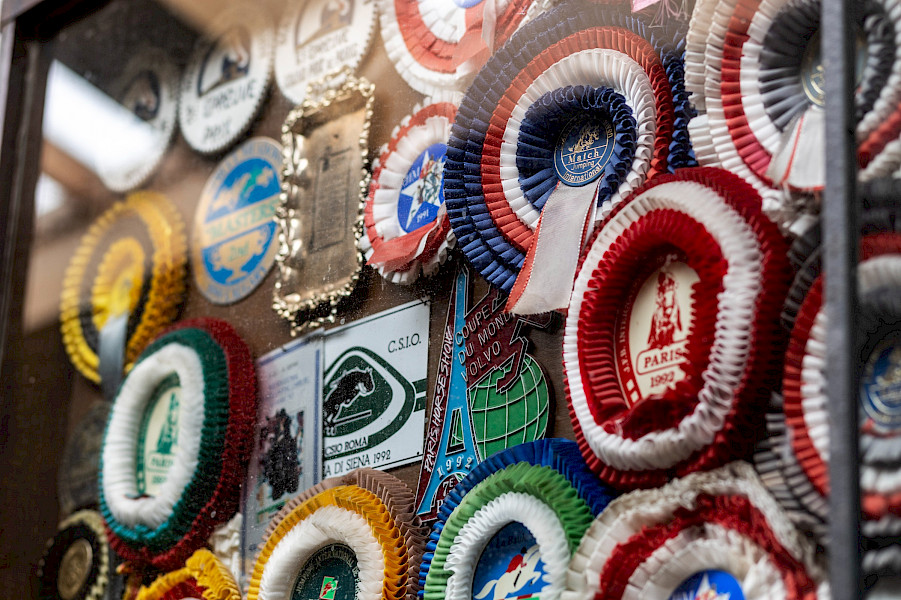 Familie Philippaerts