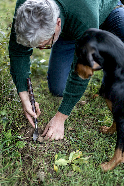 Truffels uit Limburg