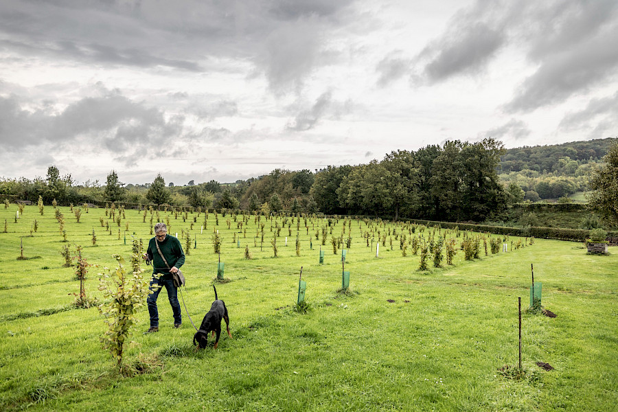 Truffels uit Limburg