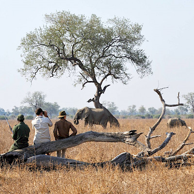 Zambia, het echte Afrika