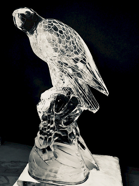 Sander Hurkens over zijn bijzondere kunstvorm: Icecarving