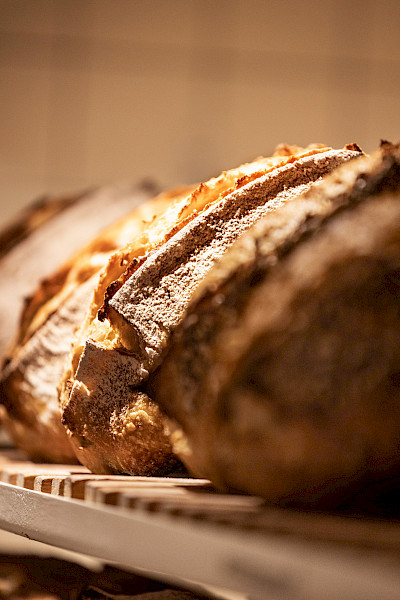 Desembakkers Kyra en Willem