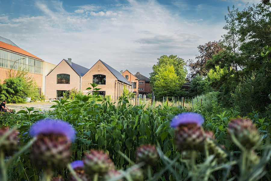 Limburgse signatuur: Sober