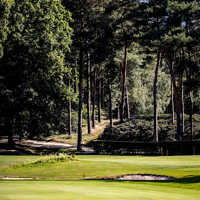 Hoogst aantal spelers ooit Holbox Open