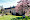 Hoeve Nekum