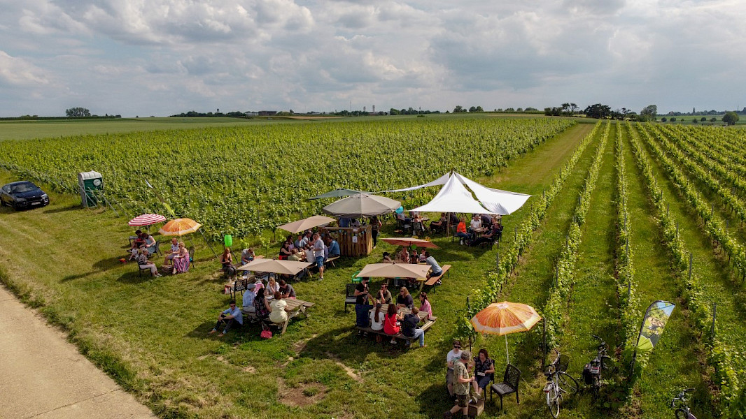 Wijndomein Vlijtingen