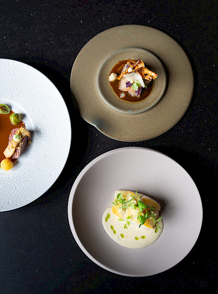 Restaurant van de week: NOVO New Dining