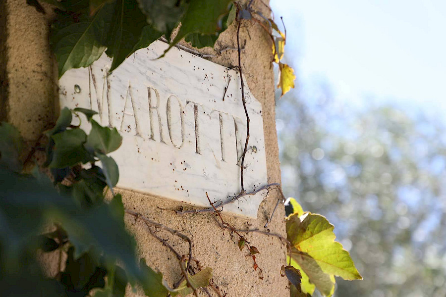 Van bouwval tot wijnparadijs: Domaine de Marotte