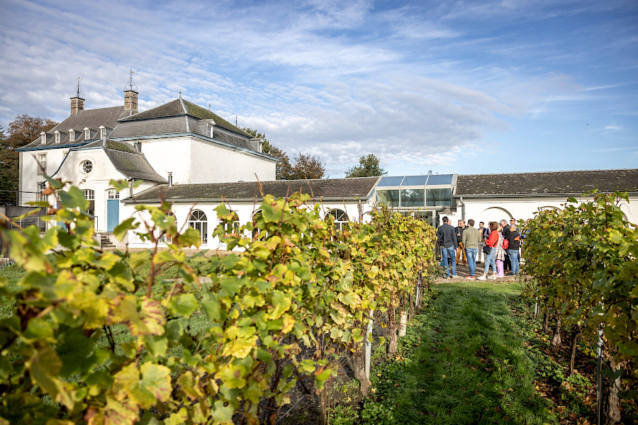 Geslaagde Limburgse Wijntour