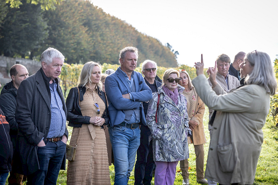 Geslaagde Limburgse Wijntour