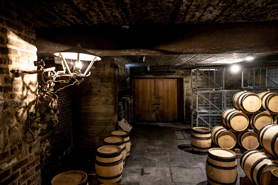 Geslaagde Limburgse Wijntour