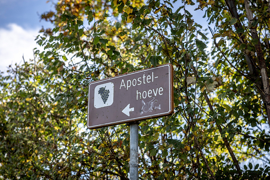 Geslaagde Limburgse Wijntour