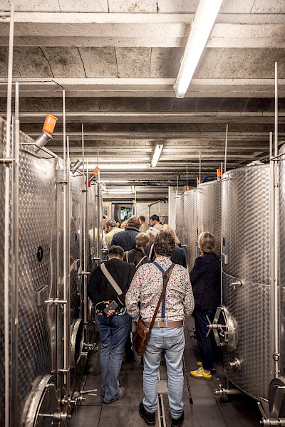 Geslaagde Limburgse Wijntour