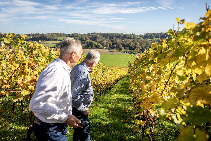 Geslaagde Limburgse Wijntour