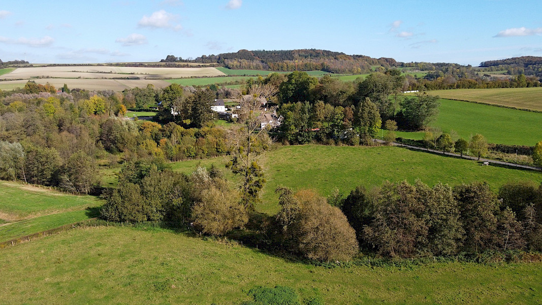 Als ballen in de kerstboom