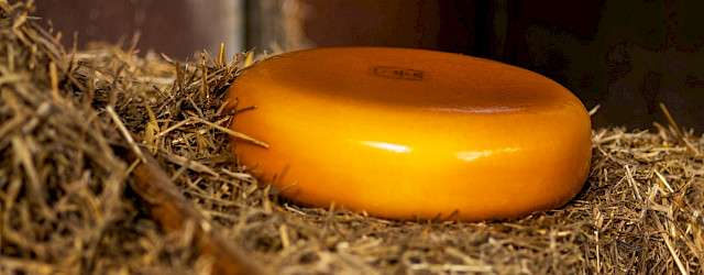 Authentieke zuivelproducten
Zuivelboerderij Mergelland