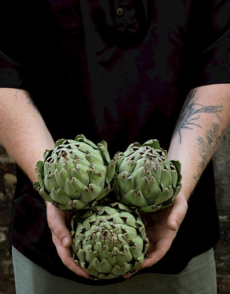 Limburgse Signatuur: WY