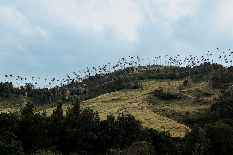 Colombia: Een schat in Zuid-Amerika