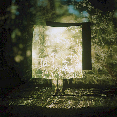 Édouard Taufenbach & Bastien Pourtout conversations with nature