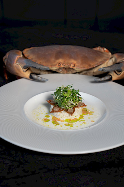 Zest Gastrobar: Lef & funky fusion