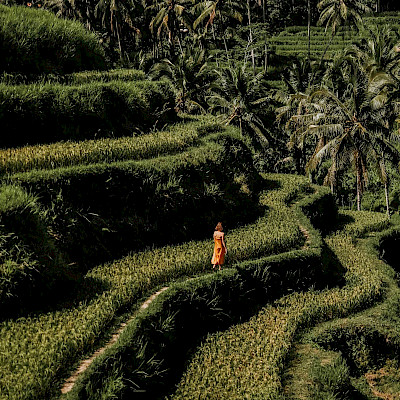 Verliefd op Bali