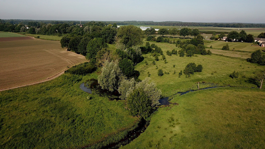 Kaldenbroek 'Moj Wah!'