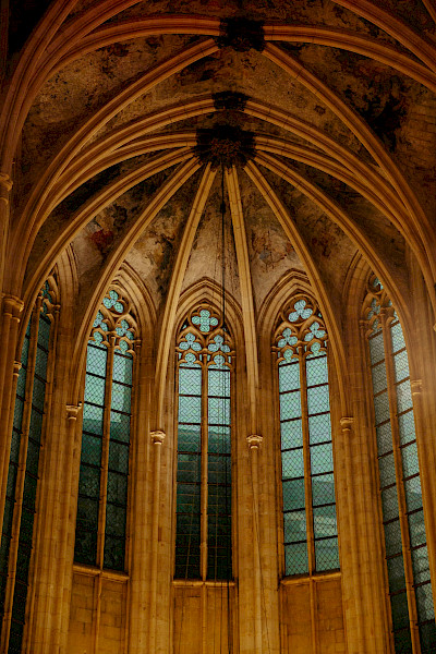 Boekhandel Dominicanen genomineerd als mooiste boekhandel ter wereld