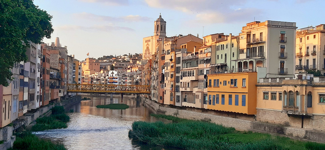 Op reis door Dali’s droomwereld