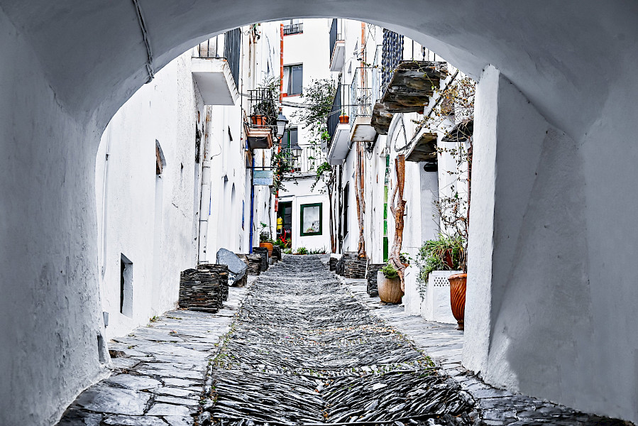 Op reis door Dali’s droomwereld