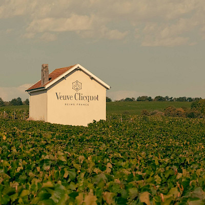 Een bruisende ontdekkingstocht door Reims en de Champagnestreek