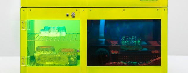 NATURE NEVER LOSES, CARL CHENG