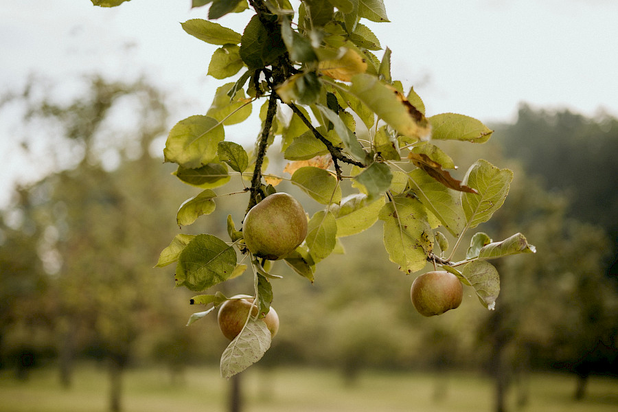 Kasteel met maatschappelijke missie