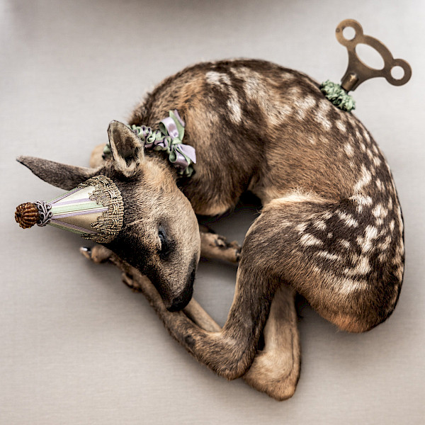 Kunstenaars huis vol eigenzinnige verhalen