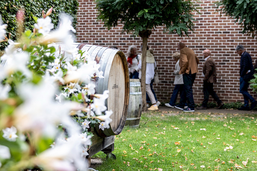 Terugblik op de Limburgse Wijntour 2025