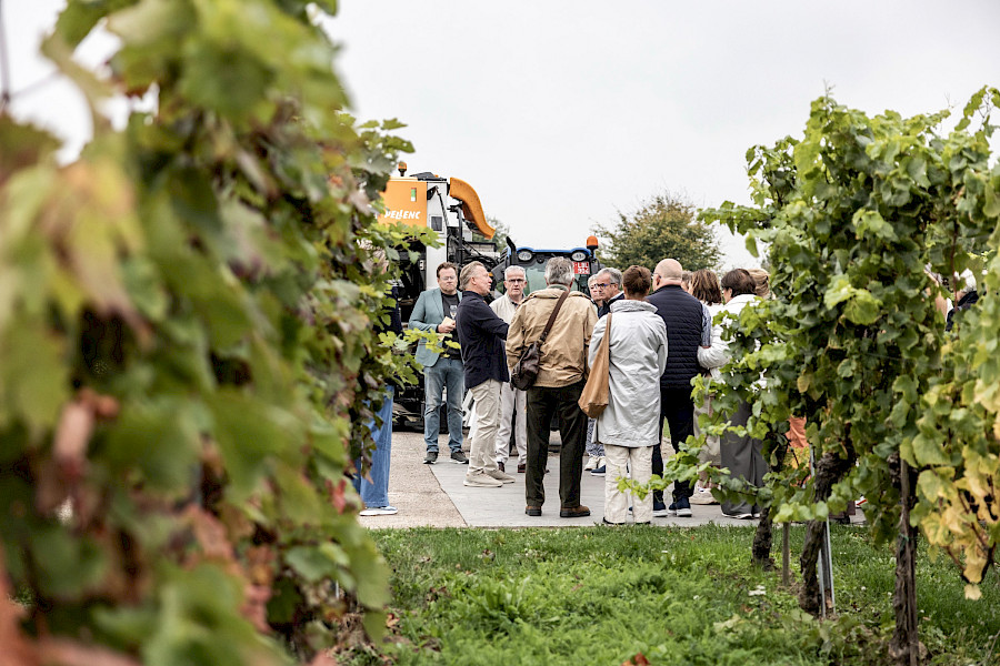 Terugblik op de Limburgse Wijntour 2025
