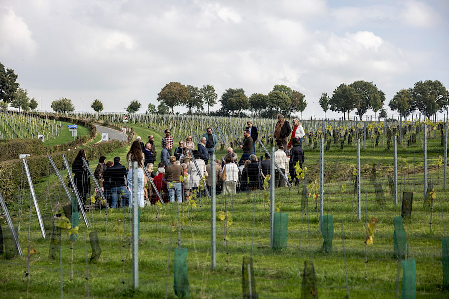 Terugblik op de Limburgse Wijntour 2025