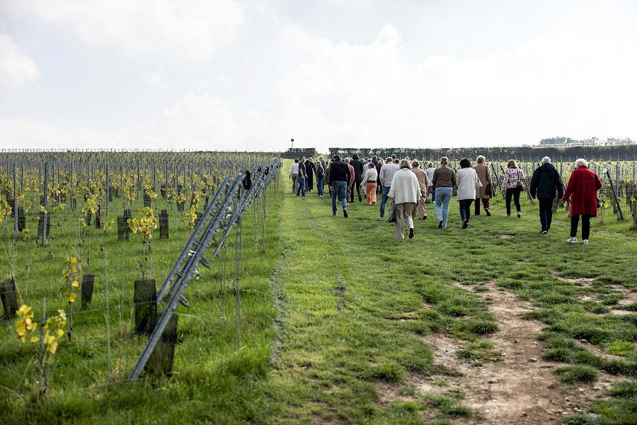 Terugblik op de Limburgse Wijntour 2025
