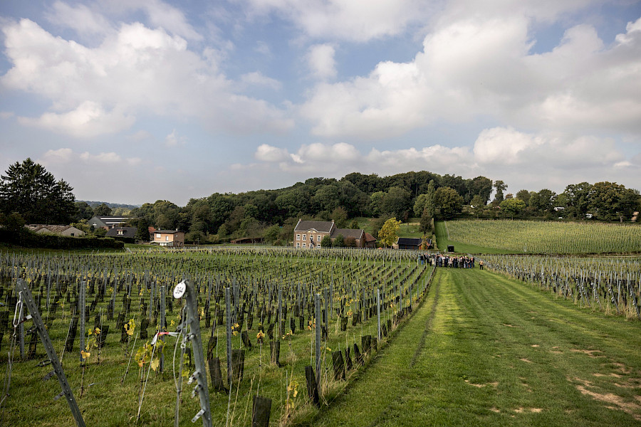 Terugblik op de Limburgse Wijntour 2025