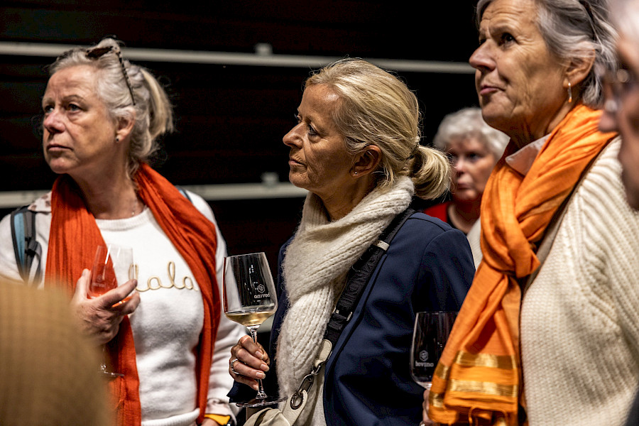 Terugblik op de Limburgse Wijntour 2025