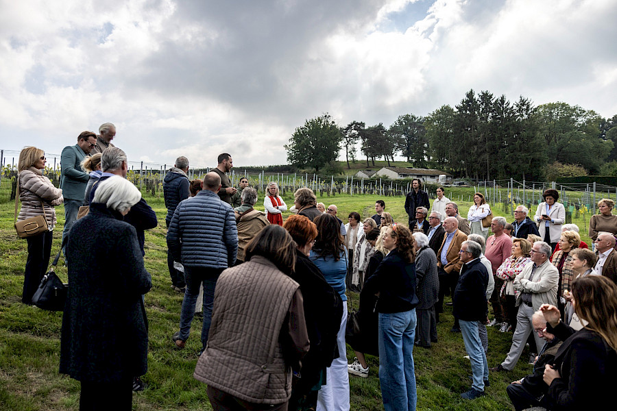 Terugblik op de Limburgse Wijntour 2025