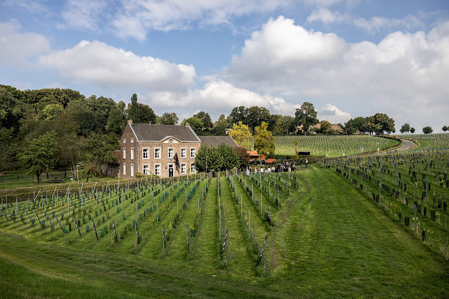 Terugblik op de Limburgse Wijntour 2025