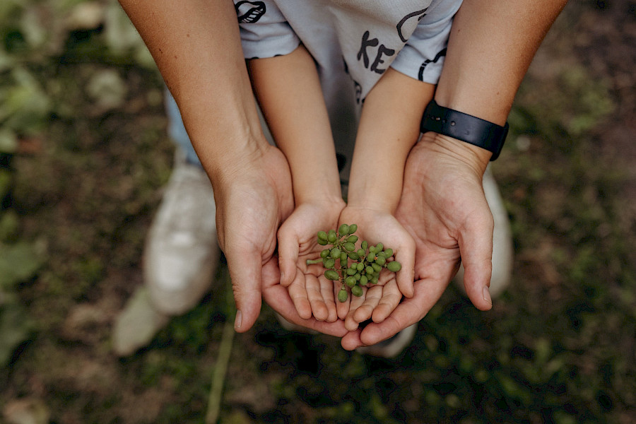Wijndomein Kapèlkeshof
