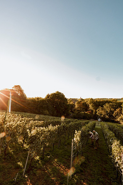 Wijndomein Heerenhuys d’r Pley