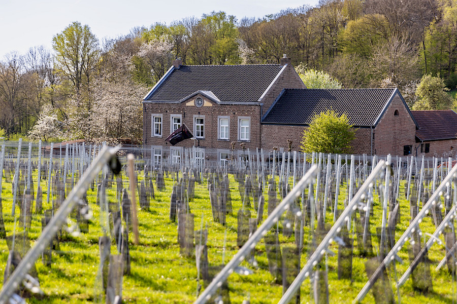 Wijnlandgoed Sterreheim
